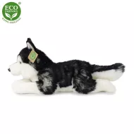 Plyšový pes husky - 36 cm - ECO-FRIENDLY - Rappa