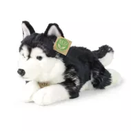 Plyšový pes husky - 36 cm - ECO-FRIENDLY - Rappa